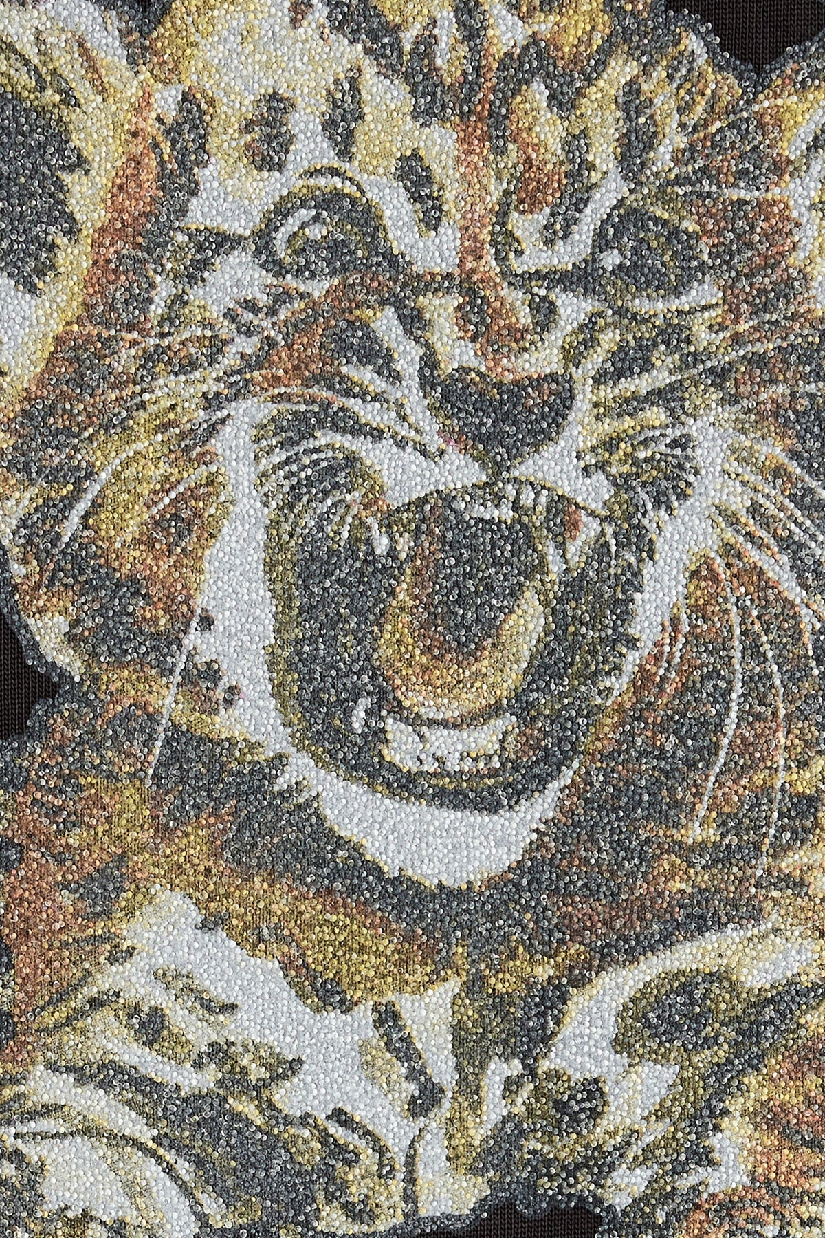 T-shirt with Tiger