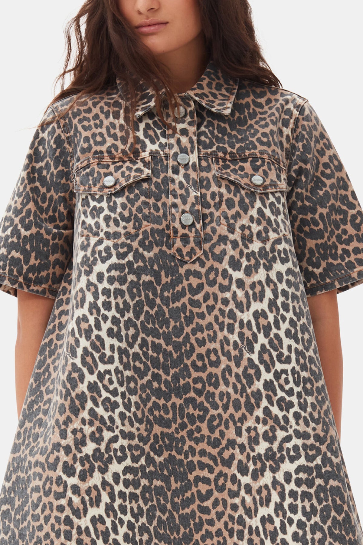 Leopard Mini Dress