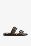 Leopard 01