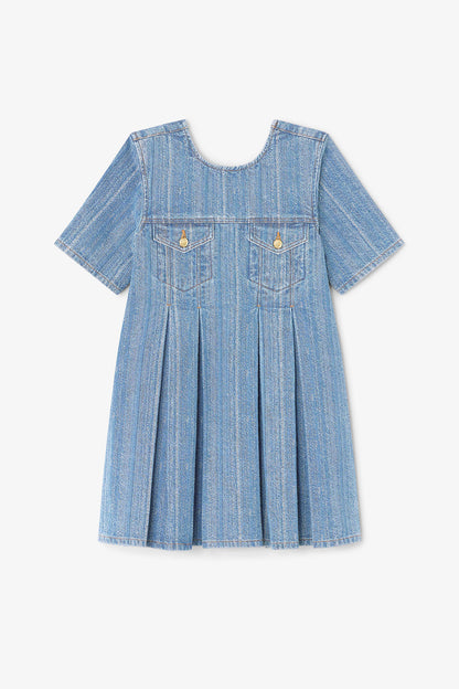 Striped Denim Pleated Dress