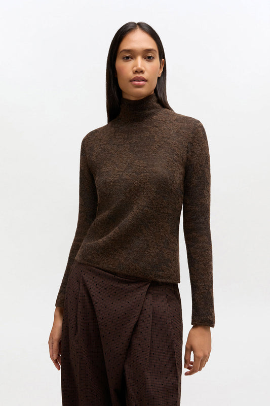 Sheer Turtleneck