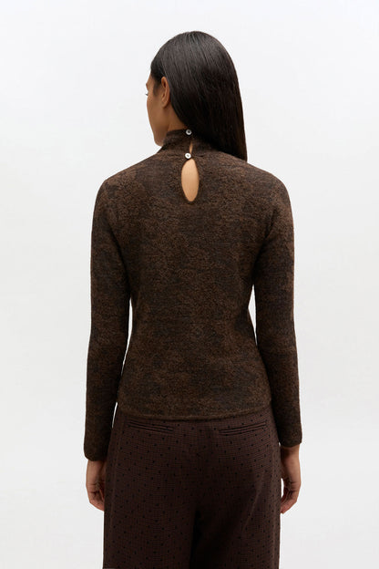 Sheer Turtleneck