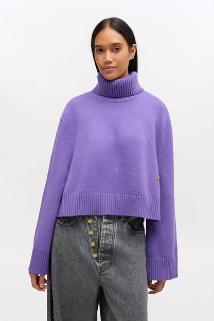 Wool Turtleneck Sweater
